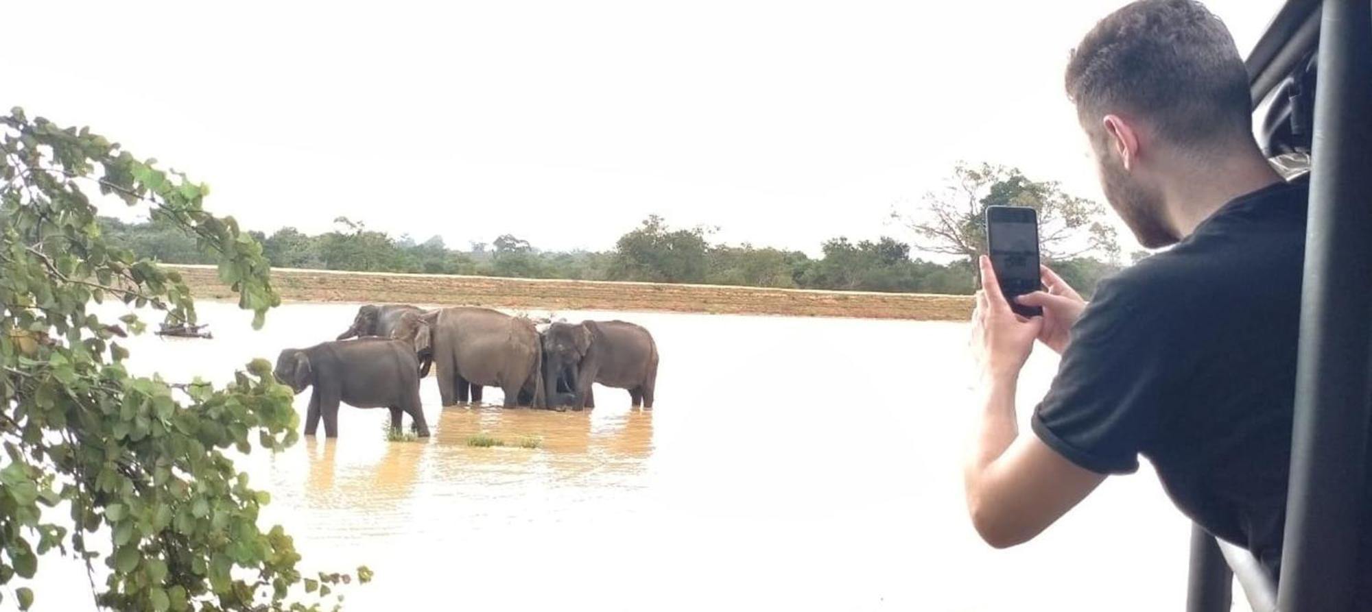 Wild Eagle Safari Resort Udawalawe Ngoại thất bức ảnh